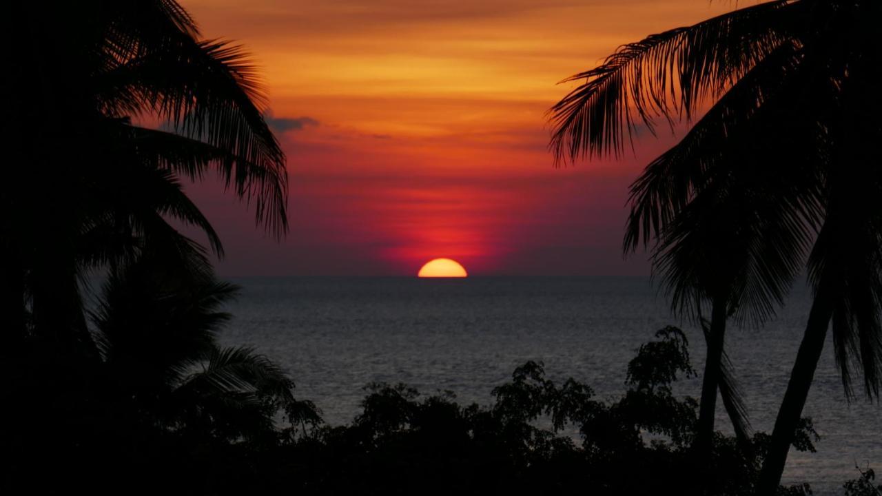 Marind Dive Eco Resort Waha Exterior photo